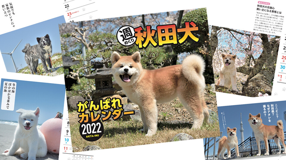 秋田犬カレンダー
