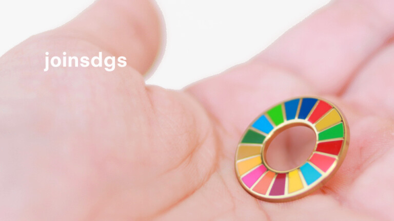 SDGs ピンバッジ 17色フルセット 限定ポストカード 冊子付き