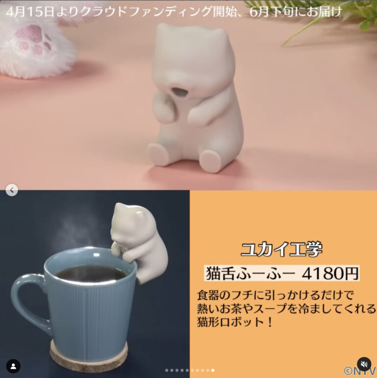 ねこページ 楽天市場】猫柄 ペンホルダー リール付き aoneco アオネコ 日本